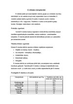 Konspekts 'E vitamīns', 1.