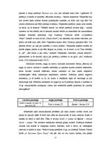 Diplomdarbs 'Parēmiju paralēles ar komponentu "nauda" latviešu, britu un krievu kultūrā', 37.