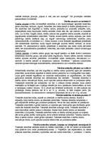 Konspekts 'Valsts un tiesību teorija', 5.