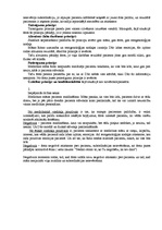 Eseja 'Situāciju analīze', 4.