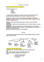 Konspekts 'Menedžments', 1.