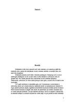 Referāts 'E-komercija un drošība, patērētāju aizsardzība', 2.