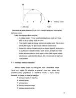 Referāts 'Valsts budžets un nodokļu politika Latvijā', 12.