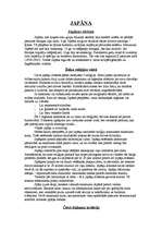 Referāts 'Japāna', 1.