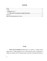 Referāts '"Rimi Latvia" tēls sociālajos medijos', 2.