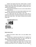 Referāts 'Naudas veidi', 8.