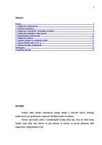 Referāts 'Uzņēmējdarbības plānošana', 2.