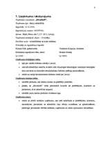 Referāts 'Uzņēmējdarbības plānošana', 4.