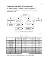 Referāts 'Uzņēmējdarbības plānošana', 6.