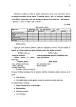 Referāts 'Uzņēmējdarbības plānošana', 9.