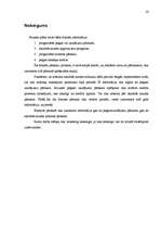 Referāts 'Uzņēmējdarbības plānošana', 16.