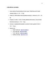 Referāts 'Uzņēmējdarbības plānošana', 17.