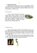 Referāts 'Augu un dzīvnieku interesantākie barošanās veidi', 4.