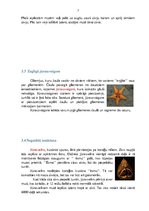 Referāts 'Augu un dzīvnieku interesantākie barošanās veidi', 7.