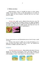 Referāts 'Augu un dzīvnieku interesantākie barošanās veidi', 8.