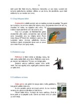 Referāts 'Augu un dzīvnieku interesantākie barošanās veidi', 10.