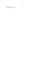 Referāts 'Augu un dzīvnieku interesantākie barošanās veidi', 11.