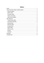 Referāts 'Kāda ir labākā māsas līderes pieeja dažādās situācijās?', 2.