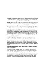 Referāts 'Kāda ir labākā māsas līderes pieeja dažādās situācijās?', 9.