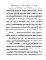 Referāts 'Tiešo konkurentu noteikšana, novērtēšana un cīņas stratēģijas izvēle', 5.