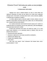 Referāts 'Tiešo konkurentu noteikšana, novērtēšana un cīņas stratēģijas izvēle', 21.