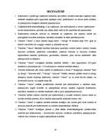 Referāts 'Tiešo konkurentu noteikšana, novērtēšana un cīņas stratēģijas izvēle', 29.