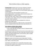 Konspekts 'Datora lietošanas ietekme uz cilvēka organismu', 1.