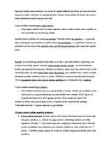 Konspekts 'Datora lietošanas ietekme uz cilvēka organismu', 2.