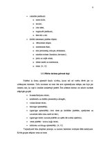 Referāts 'Pilsētu tūrisms un tā attīstības iespējas Valmierā', 9.