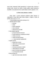 Referāts 'Pilsētu tūrisms un tā attīstības iespējas Valmierā', 12.