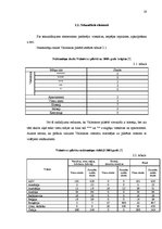 Referāts 'Pilsētu tūrisms un tā attīstības iespējas Valmierā', 19.