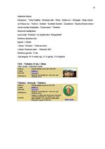 Referāts 'Pilsētu tūrisms un tā attīstības iespējas Valmierā', 50.