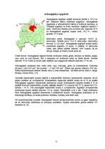 Referāts 'Krievijas Ziemeļrietumu reģiona vispārīgs raksturojums', 6.