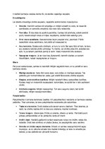 Konspekts 'Cilvēka ārienes lomas', 1.