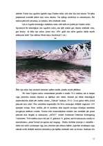 Referāts 'Doplera efekts un tā pielietojums', 11.