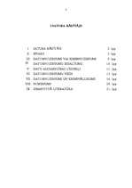 Referāts 'Datornoziegumi un to vieta Latvijas krimināllikumā', 2.