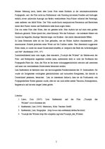 Eseja 'Essay über den Film "Triumph des Willens"', 2.