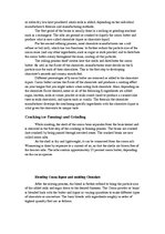 Referāts 'The Production of Chocolate', 5.