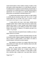 Referāts 'Etnogrāfiskā pieeja un tās praktisks pielietojums', 5.