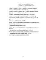 Biznesa plāns 'Krūmmelleņu ražošanas plāns z/s "Ceriņi"', 20.