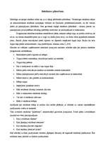 Referāts 'Reklāmas plānošana', 1.