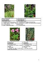 Konspekts 'Īpaši aizsargājamās dabas teritorijas Latvijā', 9.