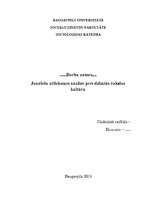 Referāts 'Jauniešu attieksme pret dzimtās valodas kultūru', 1.
