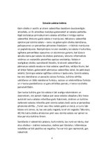 Referāts 'Jauniešu attieksme pret dzimtās valodas kultūru', 8.