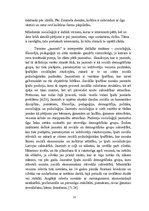 Referāts 'Jauniešu attieksme pret dzimtās valodas kultūru', 12.