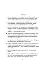Referāts 'Jauniešu attieksme pret dzimtās valodas kultūru', 19.