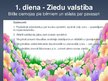 Prezentācija 'Dabas zinību metodika. Nedēļas nodarbību plāns', 3.