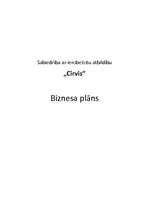 Konspekts 'SIA "Cirvis"', 1.