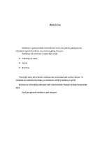 Konspekts 'SIA "Cirvis"', 5.