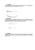 Konspekts 'Desmit vingrinājumi vienai muskuļu grupai - mugurai', 2.